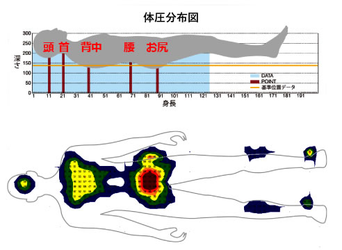 体圧分布図 体圧分布図