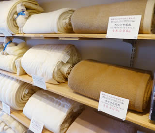 カシミヤ、キャメル