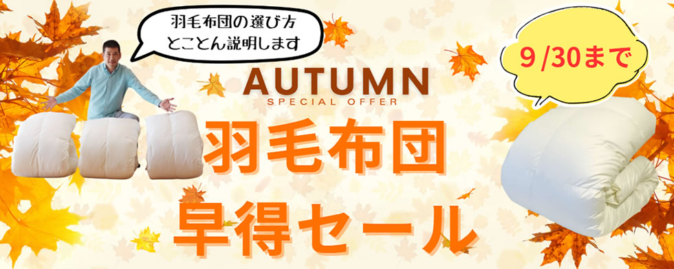 羽毛布団早得セール